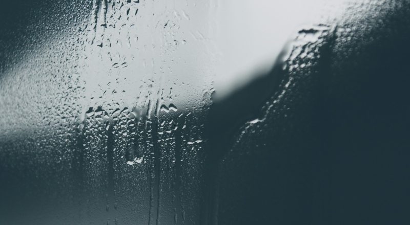 Skylight Condensation