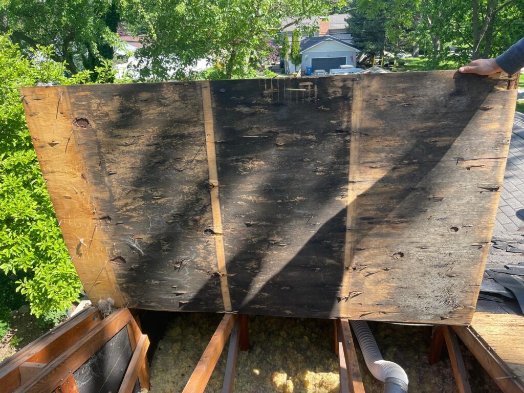 Old and moldy roof decking